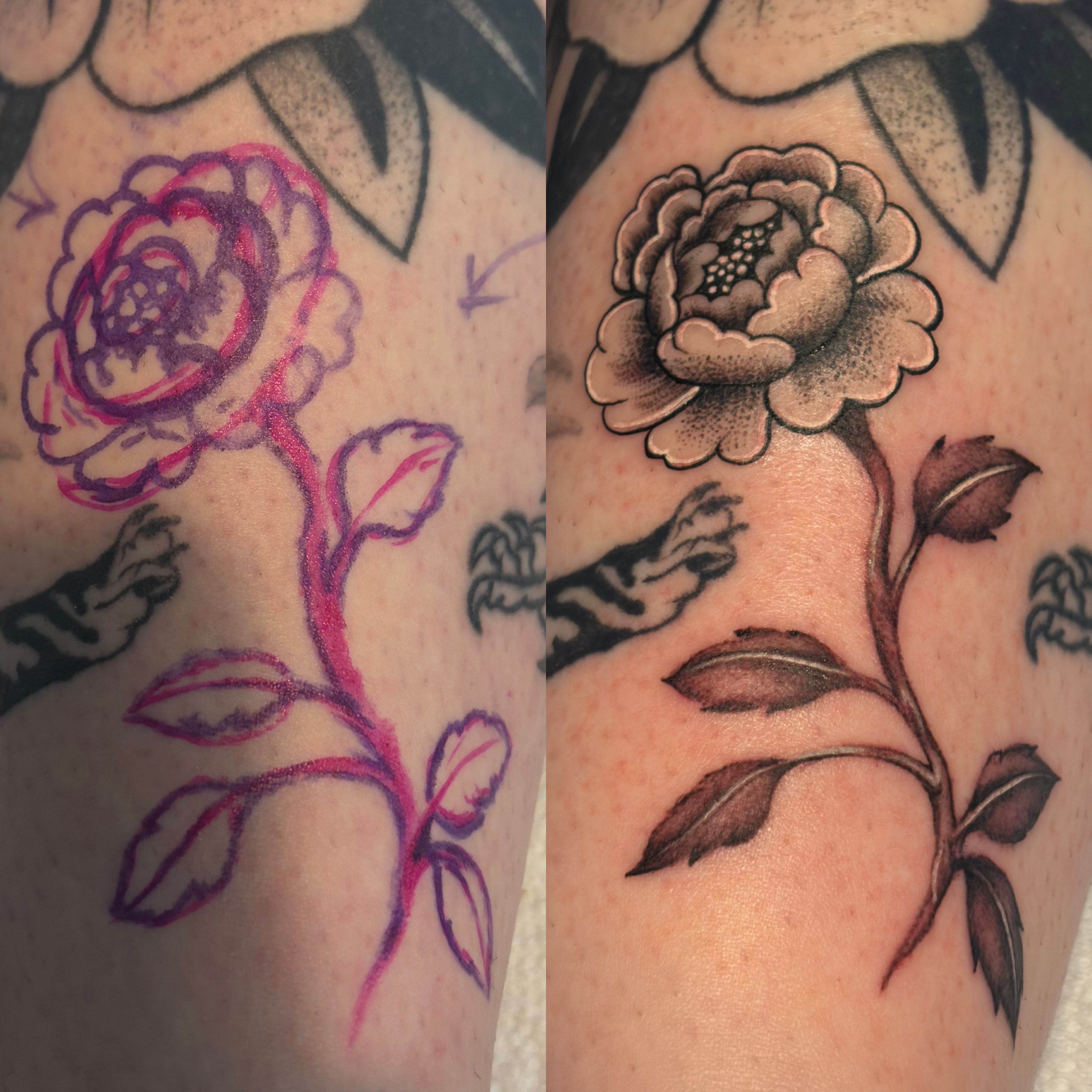 freehand mixed style realism/traditional peony