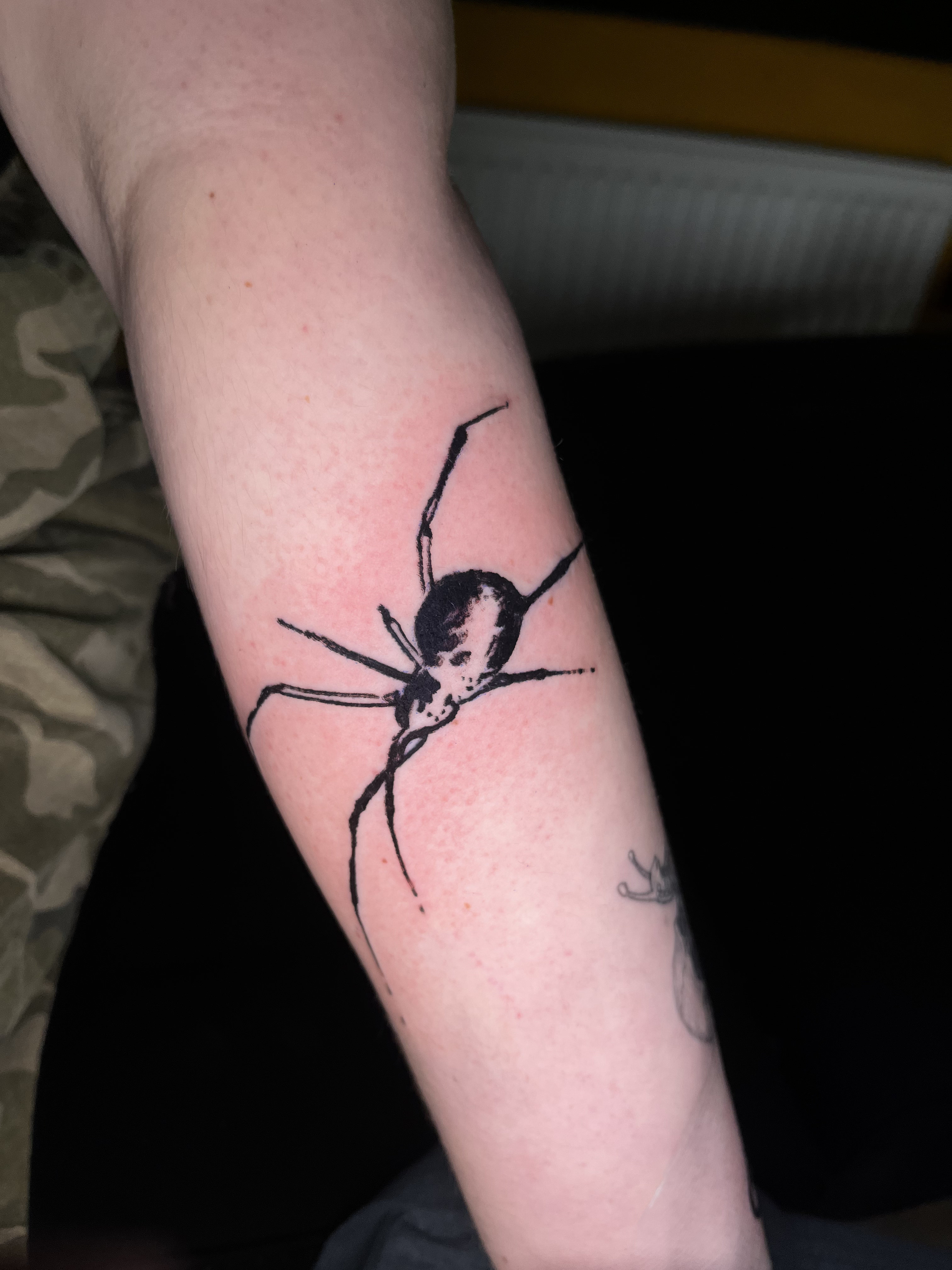 black work spider flash